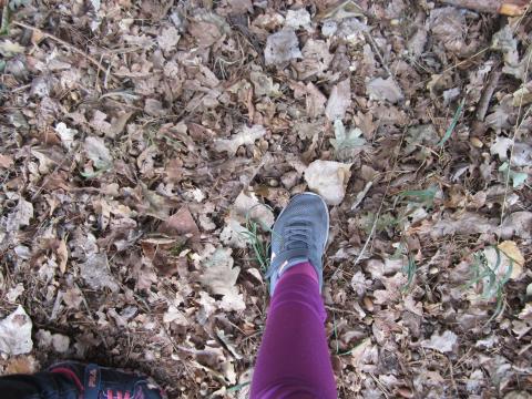 Ein einzelner Fuß der auf den mit Blättern übersähten Waldboden tritt